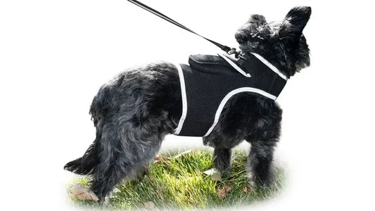 NONECN Real Time GPS Tracking Collar For Cats And Dogs