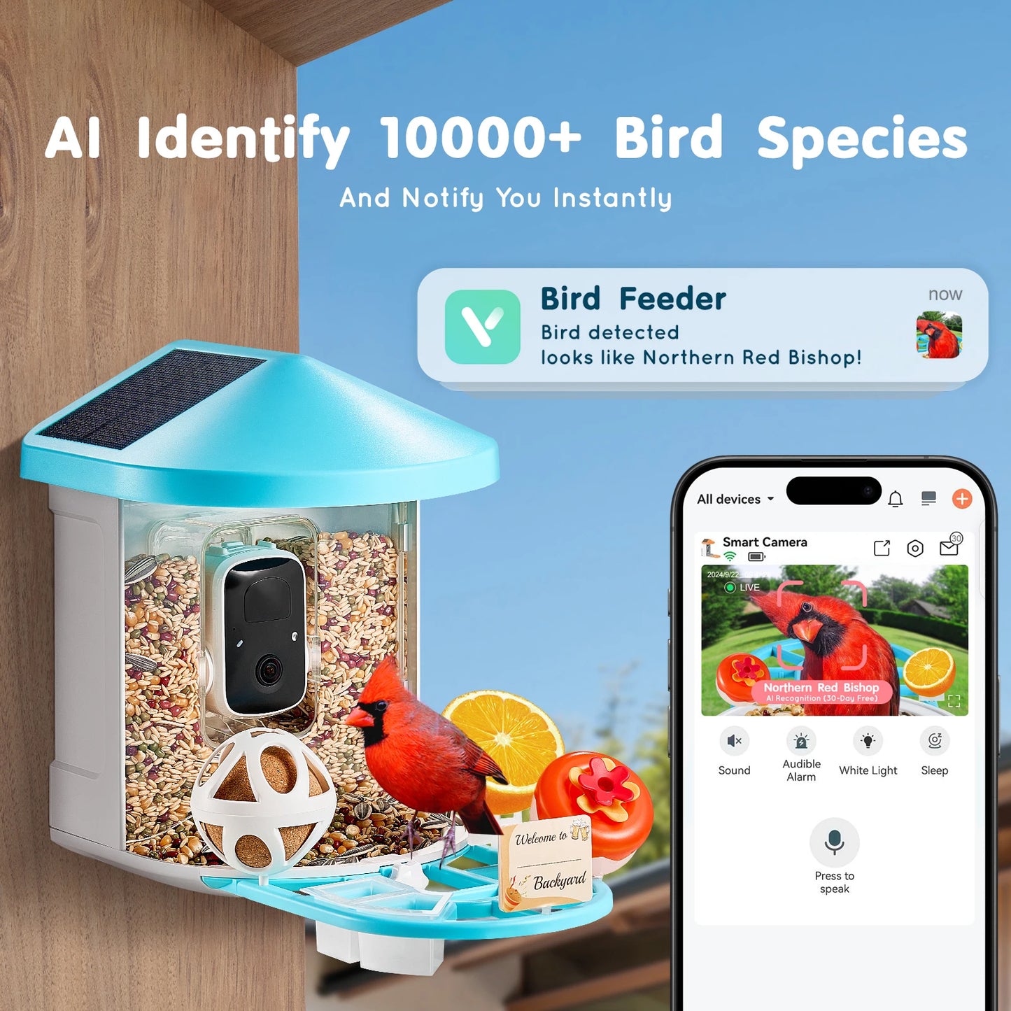 SucceBuy 2K Solar Bird Feeder Camera AI Identify Birds