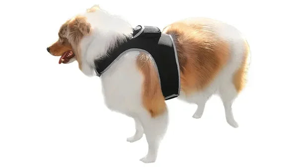 NONECN GPS Tracking Collar Real Time Location For Cats Dogs