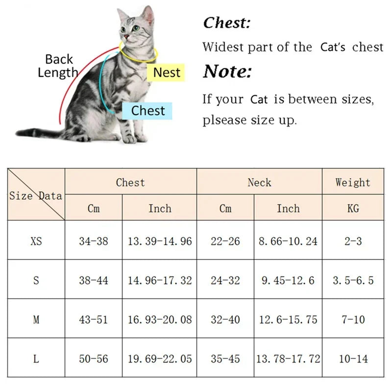 Breathable Cat Harness And Leash For Small Dogs And Cats