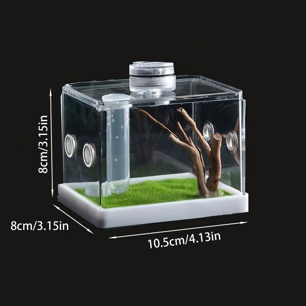 Liilaimic Spider Cage Reptile Hatching Box Breeding Tank