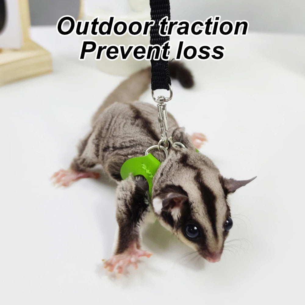 Small Animal Harness and Leash Set with Escape Proof Collar