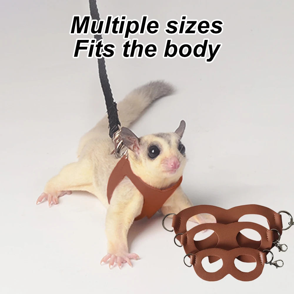 Small Animal Harness and Leash Set with Escape Proof Collar