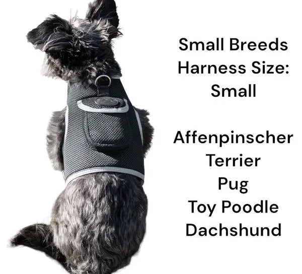 NONECN GPS Tracking Collar Real Time Location For Cats Dogs