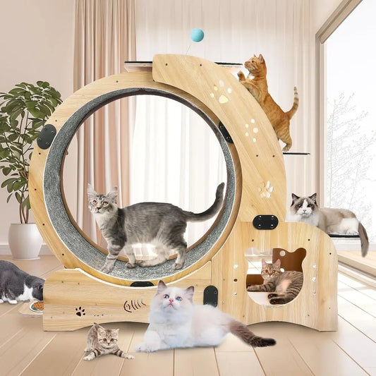 Six-In-One Cat Activity Center With Wheel Bed Scratcher Climbing Toys