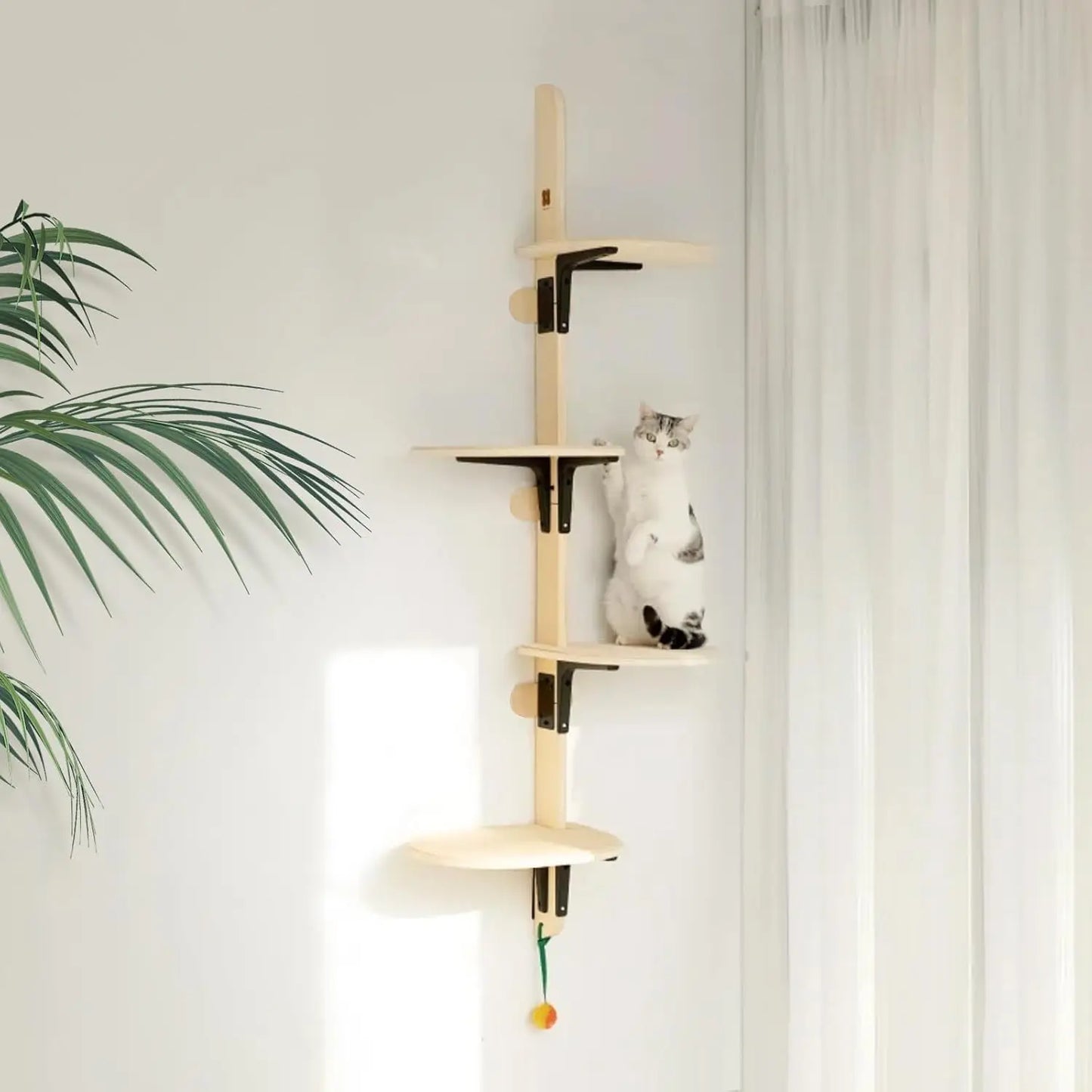 MewooFun Four Level Wall Mounted Cat Climber Shelves