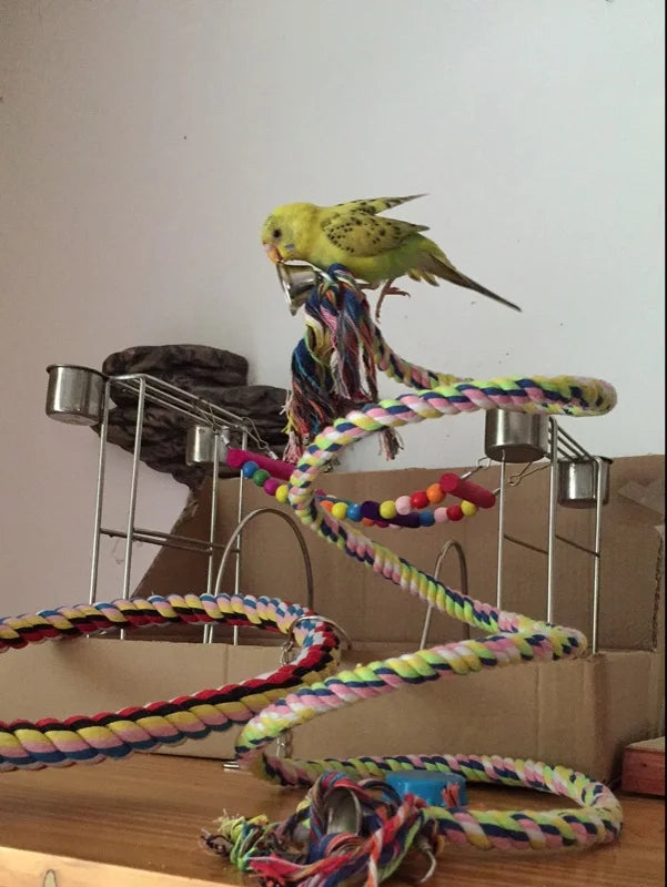 Multicolor Parrot Bird Toys Rope Bell Swing Perch Climbing Cage