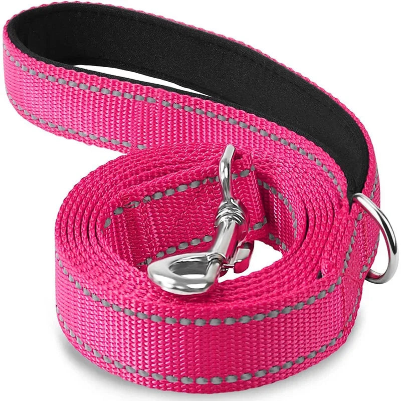Night Reflective Dog Leash for Walking and Training