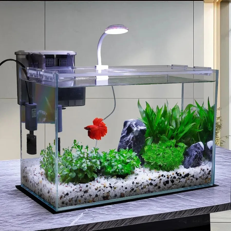 Glass Fish Tank Starter Kit With Built In LED Light